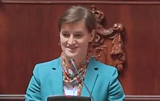 ana brnabic proslava