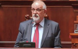 potpredsednik sanu